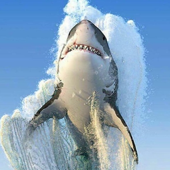 Meet your Posher, Kristen - Picture 1 of 1